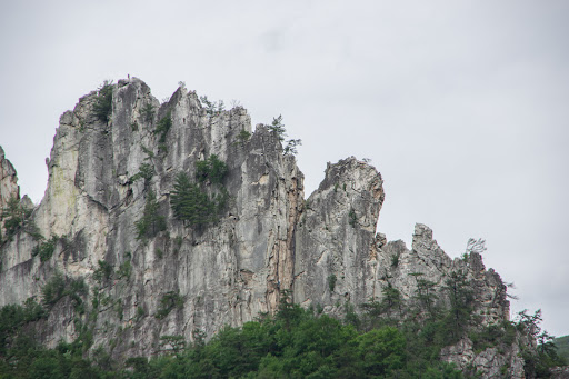 National Park «Shenandoah National Park», reviews and photos