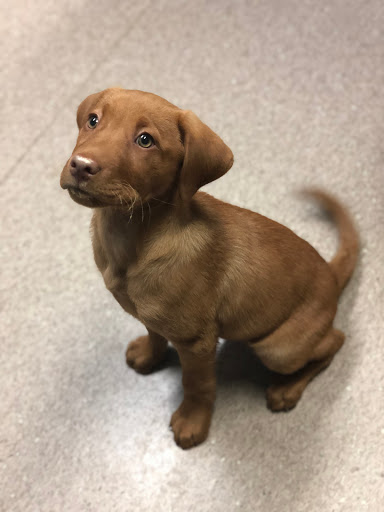 5033 Horseshoe Pike, Downingtown, PA 19335, USA