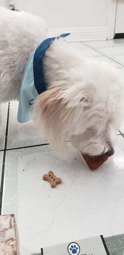 Pet Supply Store «The Dog Bakery», reviews and photos, 36 W Colorado Blvd, Pasadena, CA 91105, USA