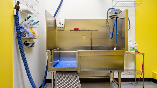 Pet Store «Dog Wash Etc», reviews and photos, 1037 Forest Ave, Portland, ME 04103, USA