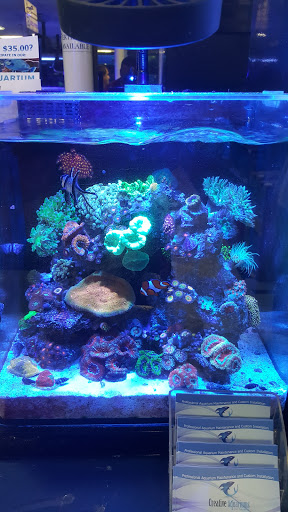 Pet Store «Creative Aquariums of Tampa», reviews and photos, 150 S Dale Mabry Hwy, Tampa, FL 33609, USA