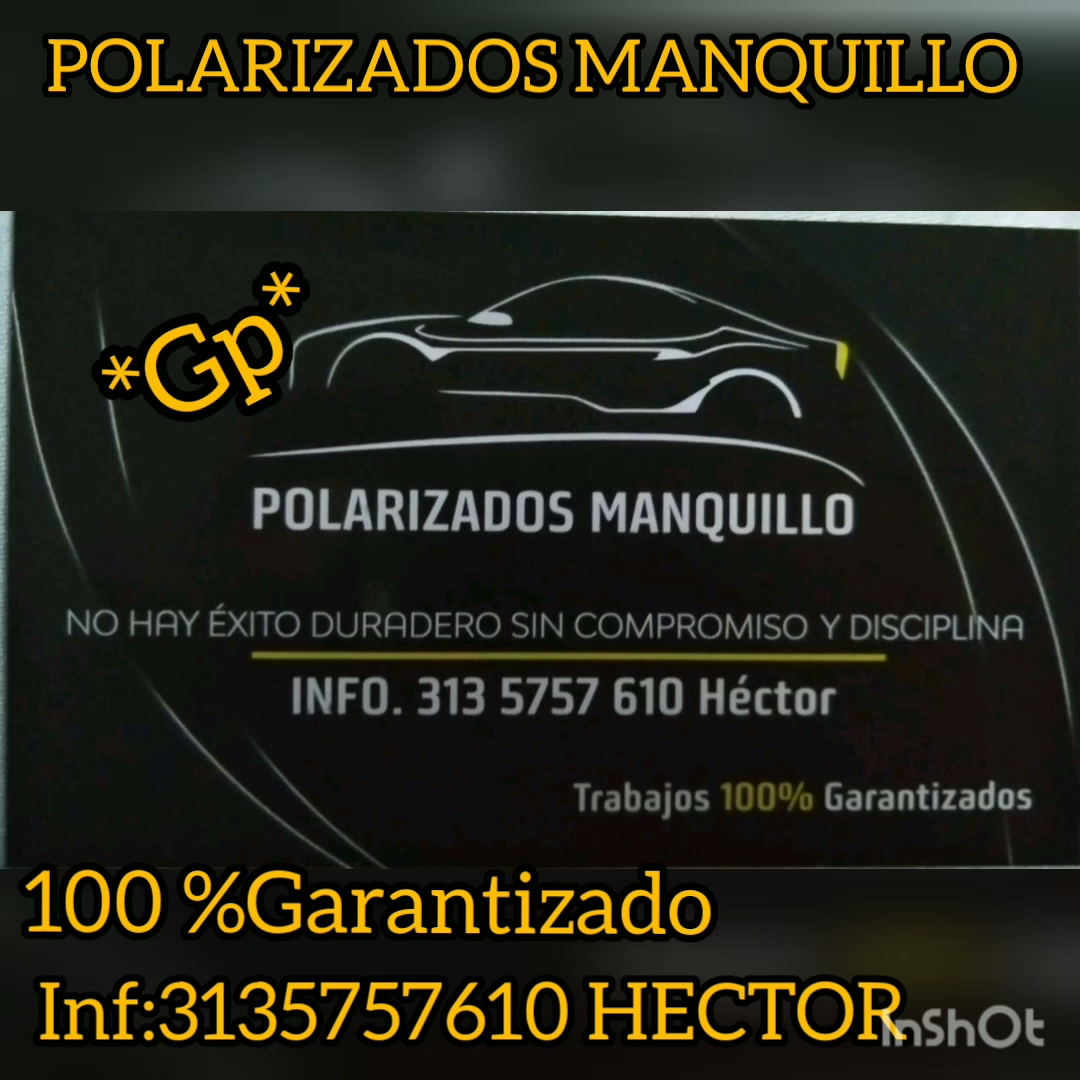 Polarizados manquillo