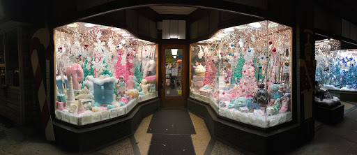 Toy Store «G. Willikers Toys», reviews and photos, 461 Broadway, Saratoga Springs, NY 12866, USA