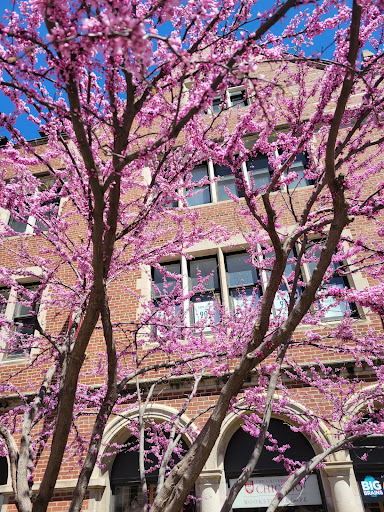 Book Store «University of Chicago Bookstore», reviews and photos, 970 E 58th St, Chicago, IL 60637, USA
