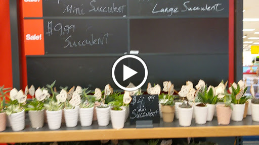 Department Store «Target», reviews and photos, 20100 Haggerty Rd, Livonia, MI 48152, USA