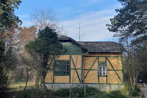 Arboretum of Gödöllő image