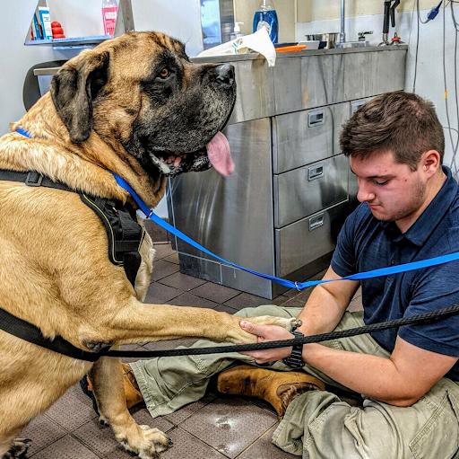 Campbell Veterinary Hospital image