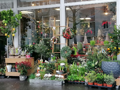 Menthe Poivrée à Saint-Brieuc