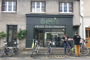 Stations Bee's vélos électriques - Chaumont-sur-Loire image