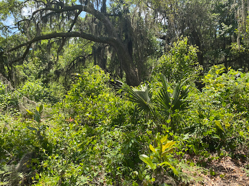 Park «Cypress Wetlands», reviews and photos, 1700 Paris Ave, Port Royal, SC 29935, USA