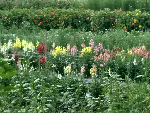 Farm «Langwater Farm», reviews and photos, 209 Washington St, North Easton, MA 02356, USA