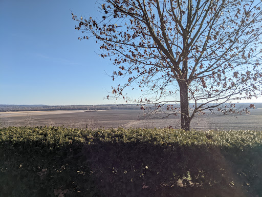 Winery «Mount Pleasant Estates», reviews and photos, 5634 High St, Augusta, MO 63332, USA