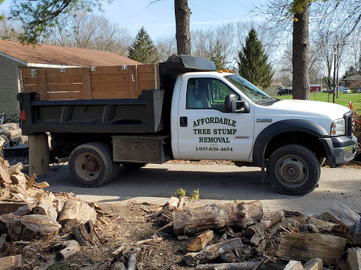 Affordable Tree Stump Removal LLC image 3