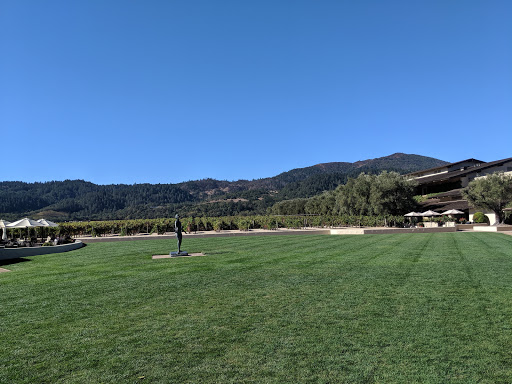 Bicycle Rental Service «Napa Valley Bike Tours & Rentals», reviews and photos, 6500 Washington St, Yountville, CA 94599, USA