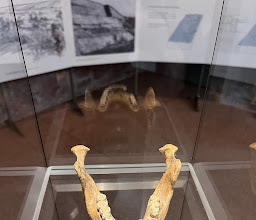Kurpfälzisches Museum photo