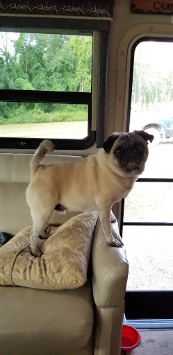 Country Club «Hickory Ridge Golf & Country Club», reviews and photos, 15816 Lynch Rd, Holley, NY 14470, USA