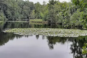 Raakmoor Nature Reserve image