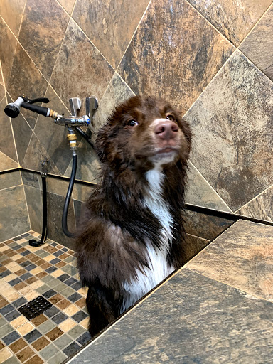 Pet Store «Pet Valu», reviews and photos, 2914 Chain Bridge Rd, Oakton, VA 22124, USA