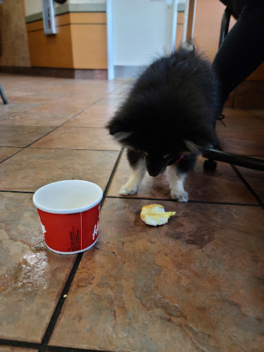 Coffee Shop «Tim Hortons», reviews and photos, 1563 Spencerport Rd, Gates, NY 14606, USA