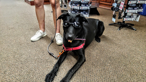 Pet Supply Store «Decadent Dogs», reviews and photos, 206 S River Ave, Holland, MI 49423, USA