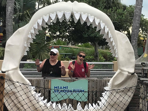 Tour Agency «Miami Swim With Dolphin Tours», reviews and photos, 247 SW 8th St, Miami, FL 33130, USA