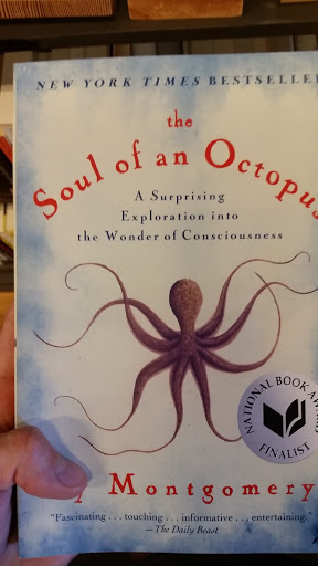 Book Store «Phinney Books», reviews and photos, 7405 Greenwood Ave N, Seattle, WA 98103, USA