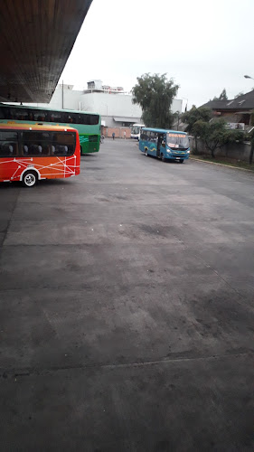 Terminal de Buses Osorno - Servicio de transporte