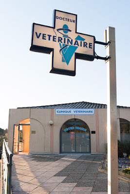 Clinique Vétérinaire Univet de l'Ile Verte - Dr Bonichon-Ibarrondo à Valbonne
