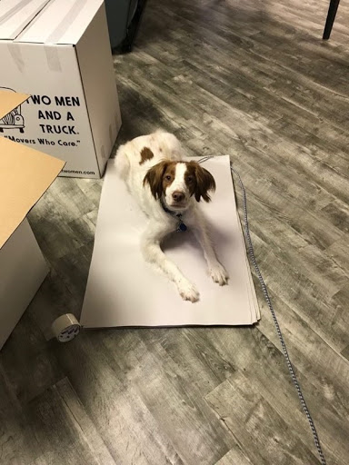 Moving and Storage Service «Two Men and a Truck», reviews and photos, 5328 Bardstown Rd, Louisville, KY 40291, USA