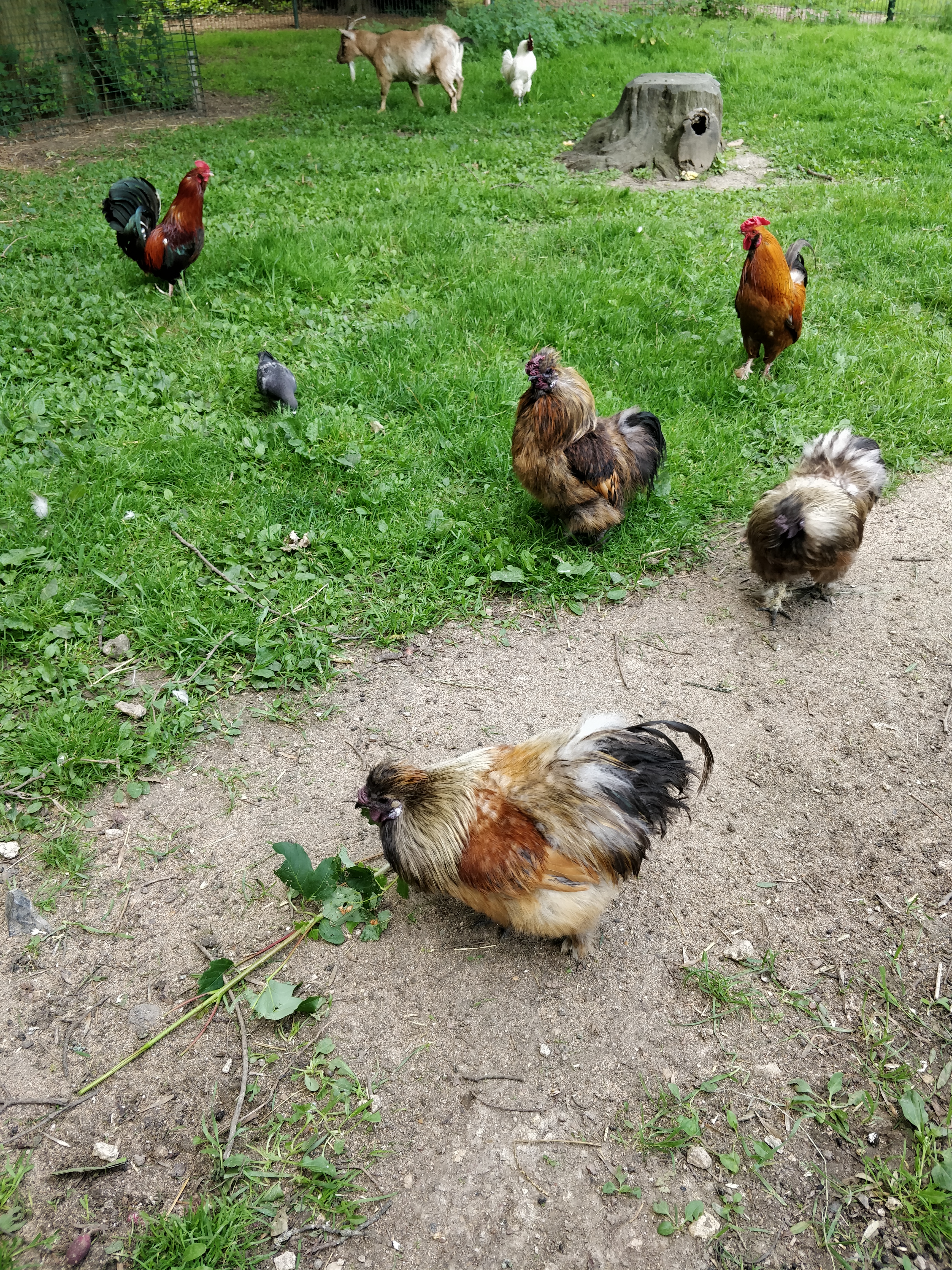Photo n° 6 de l'avis de Be.a fait le 29/06/2019 à 08:30