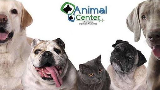 Farmacias veterinarias en Cali