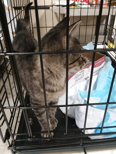 Pet Supply Store «PetSmart», reviews and photos, 5005 S 74th St, Greenfield, WI 53220, USA