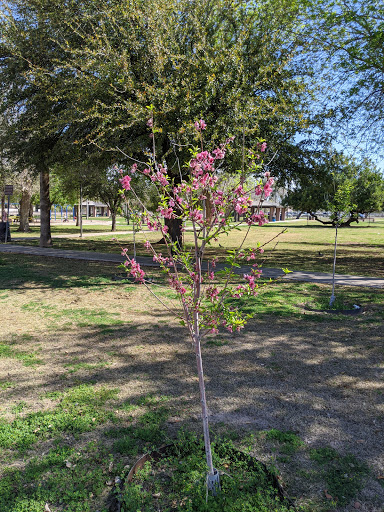 Park «Daley Park», reviews and photos, 1625 S College Ave, Tempe, AZ 85281, USA