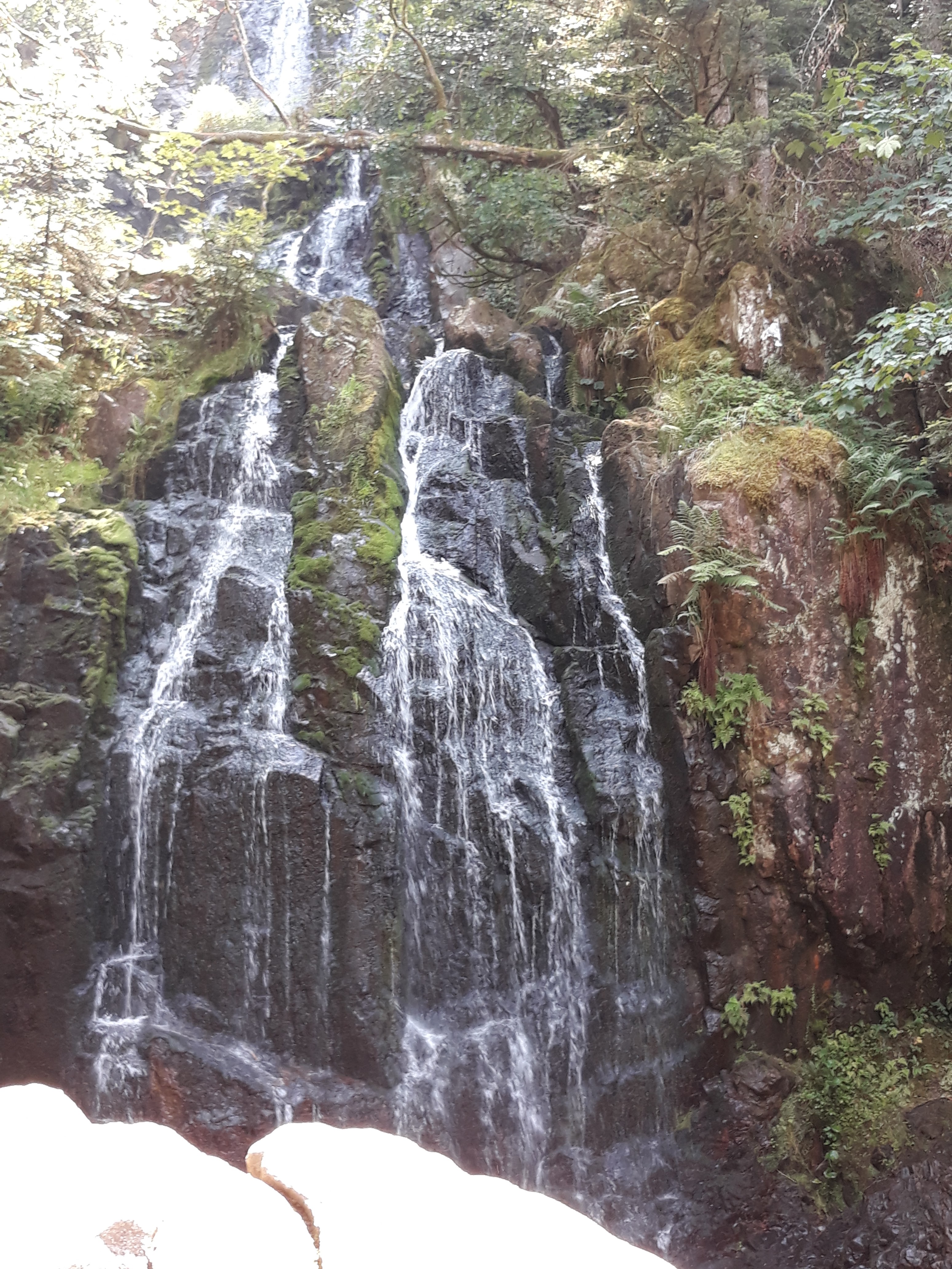 Photo n° 1 de l'avis de Housni.b fait le 28/07/2018 à 13:17