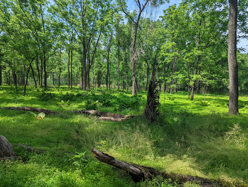 Nature Preserve «Big Brook Preserve», reviews and photos, 95 Hillsdale Rd, Colts Neck, NJ 07722, USA