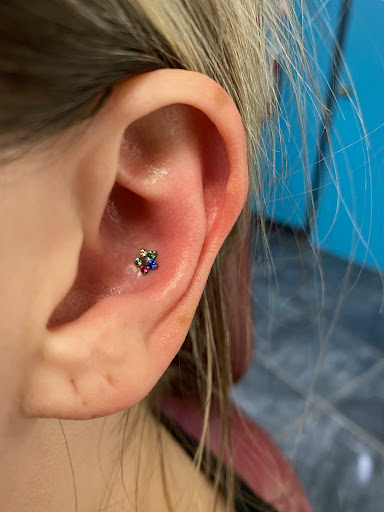 Explore tree of life tattoo ideas, creative tattoo ideas in Houston, available at Body Art Piercing Studio