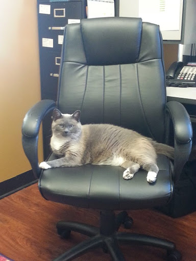 Auto Repair Shop «Springdale Automotive (Prospect)», reviews and photos, 13212 W U.S. Hwy 42, Prospect, KY 40059, USA