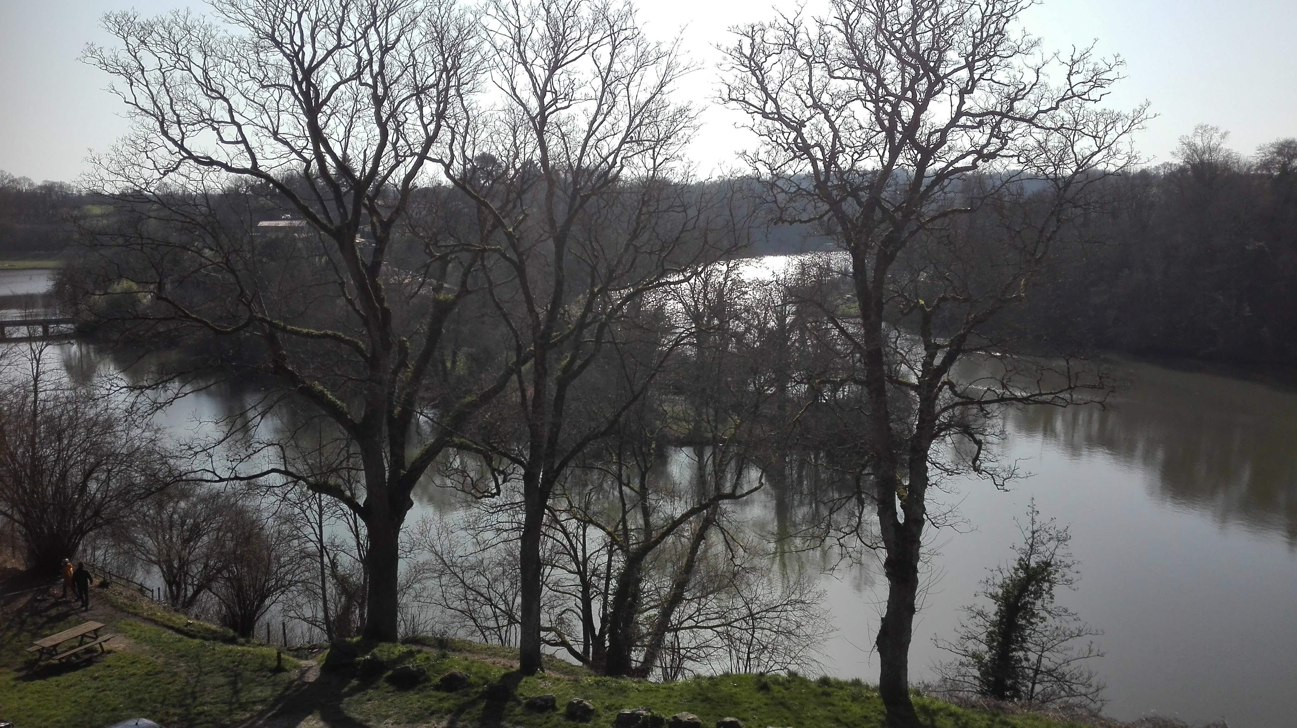Photo n° 5 de l'avis de jean. fait le 28/02/2021 à 16:54