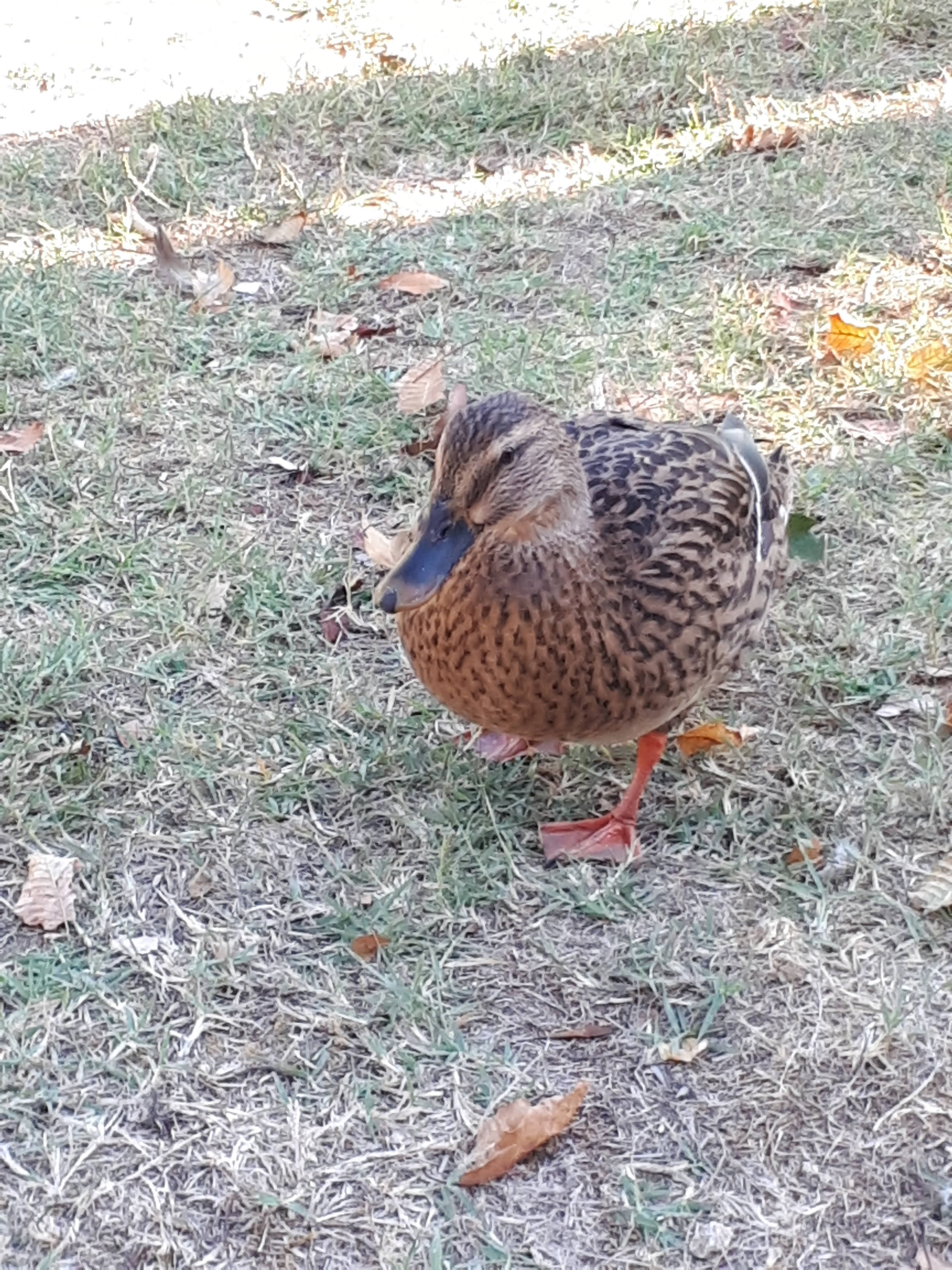 Photo n° 2 de l'avis de francoise.a fait le 24/09/2022 à 17:48