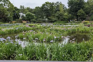 Shirokita Park image