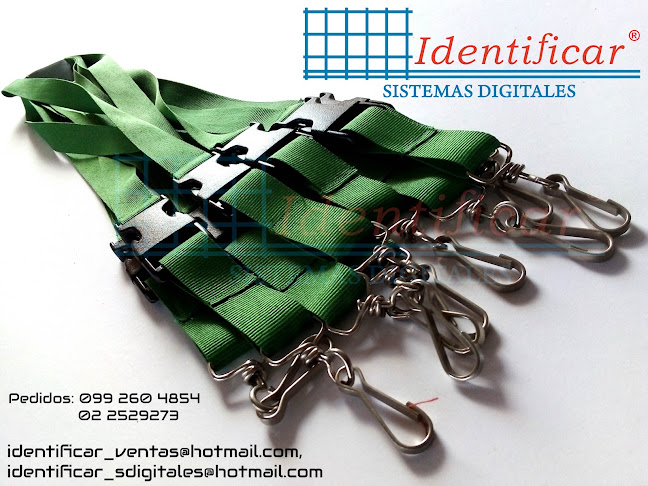 IDENTIFICAR Sistemas Digitales