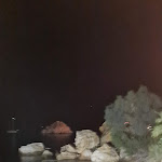 Photo n°2 de l'avis de Erika.a fait le 26/10/2021 à 16:30 sur le  Hotel Le Calette à Cefalù