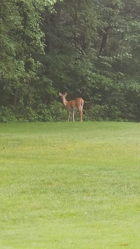 Golf Course «Eldorado Golf Course», reviews and photos, 3750 W Howell Rd, Mason, MI 48854, USA