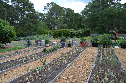 Gated Community «Long Cove Club», reviews and photos, 399 Long Cove Dr, Hilton Head Island, SC 29928, USA