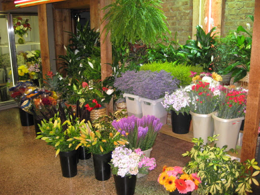 Florist «Westgate Flower & Plant Shop», reviews and photos, 841 S Oak Park Ave, Oak Park, IL 60304, USA