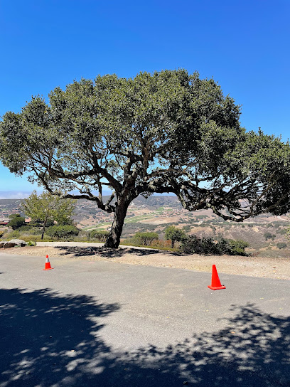 Mountain Valley Tree Service