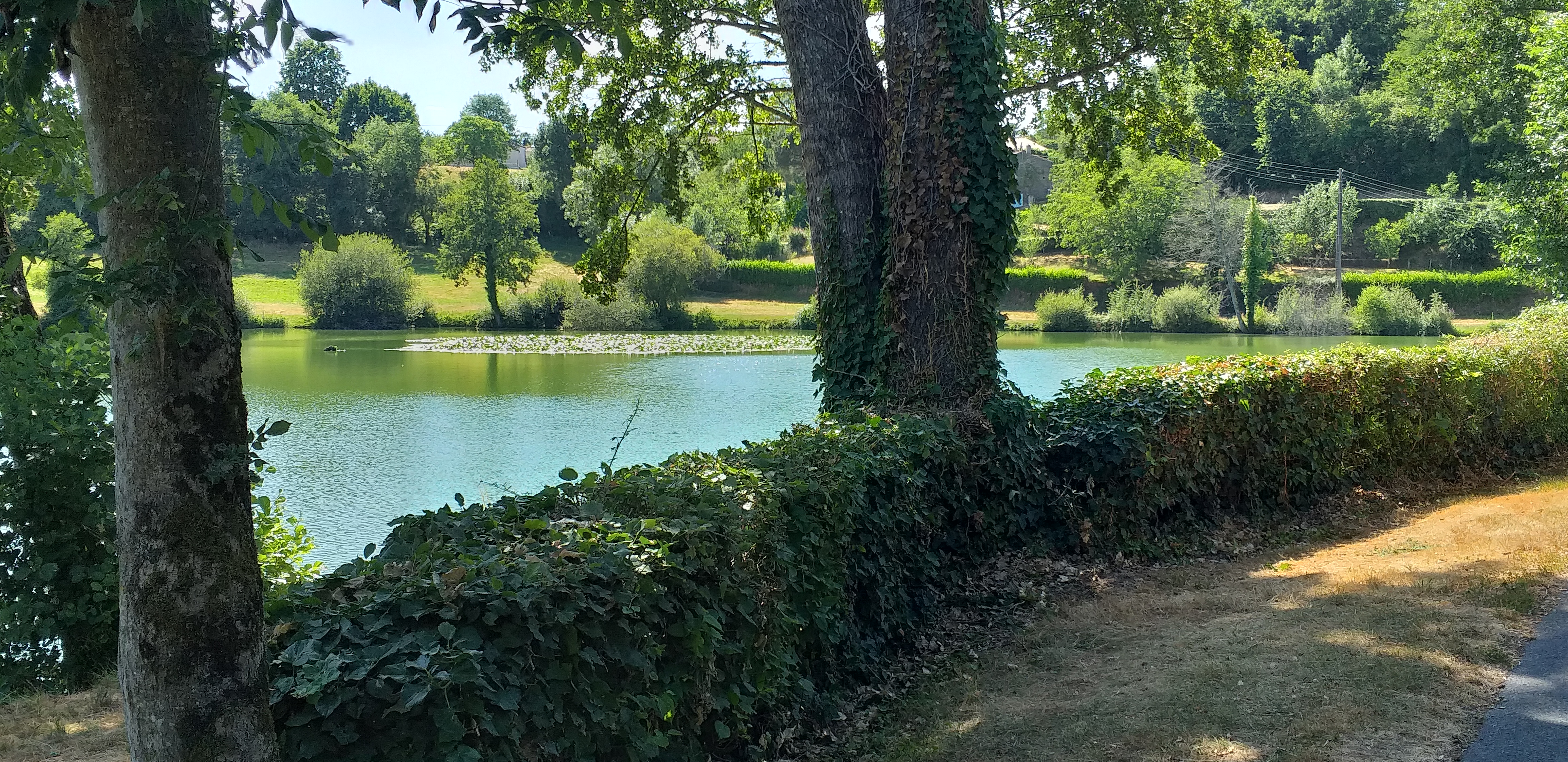 Photo n° 3 de l'avis de globe.r fait le 21/07/2019 à 17:39