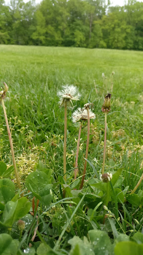 Park «Bonsall Park», reviews and photos, 3000 Silverside Rd, Wilmington, DE 19810, USA