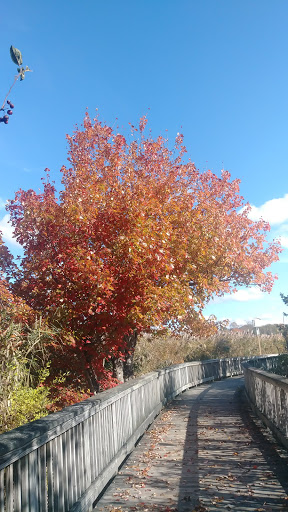 Educational Institution «The Audubon Society of Rhode Island Environmental Education Center», reviews and photos, 1401 Hope St, Bristol, RI 02809, USA