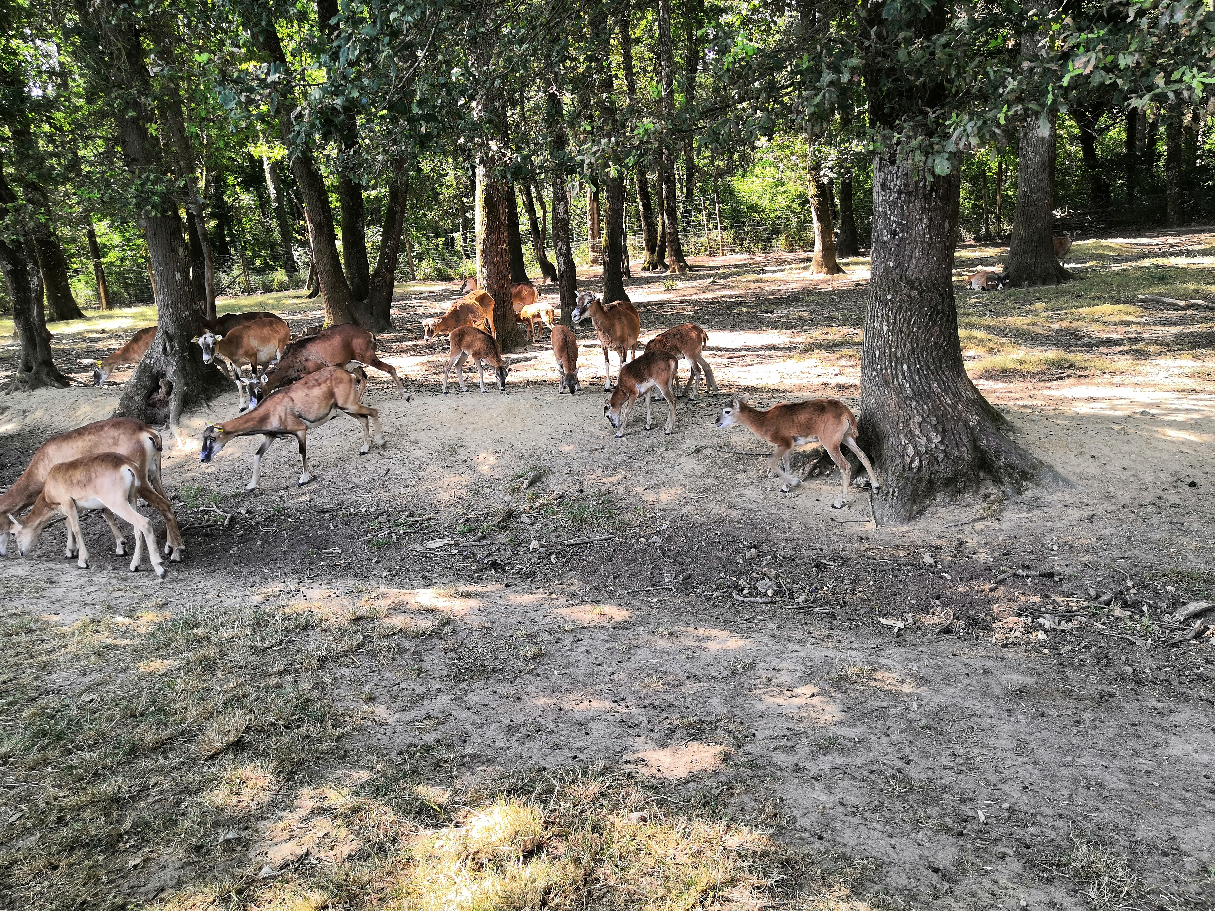 Photo n° 1 de l'avis de valentine. fait le 20/07/2022 à 14:25